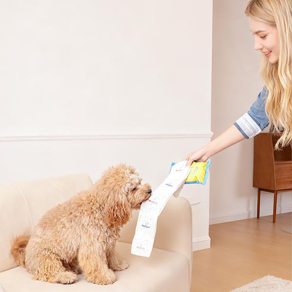 Wet-Wipe Style Treat Pockets Dog Toy Durable No-Stuffing Double Squeakers Extra-Long Tug Design