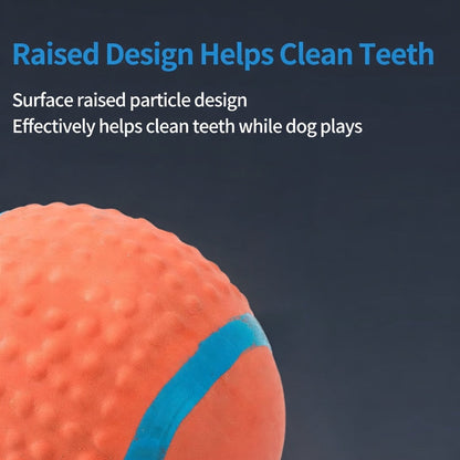 🏈 Interactive Squeaky Dog Toy Ball – Fun & Engaging Playtime for Your Pup