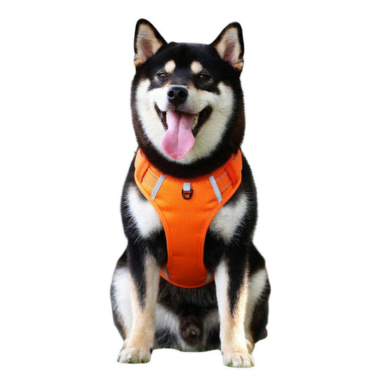 Reflective No-Pull Dog Harness – Adjustable, Breathable, Heavy-Duty Chest Strap for Small Medium Large Dogs