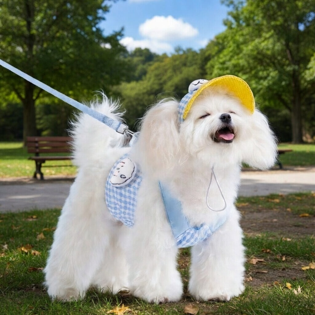 🐶 No Pull Dog Harness Leash Set with Matching Hat – Breathable Mesh Vest, Adjustable, Reflective, Brown